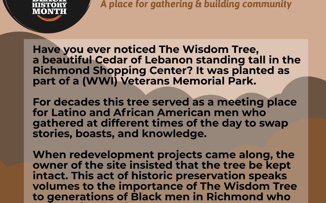 The Wisdom Tree: A Place for Gathering & Building Community