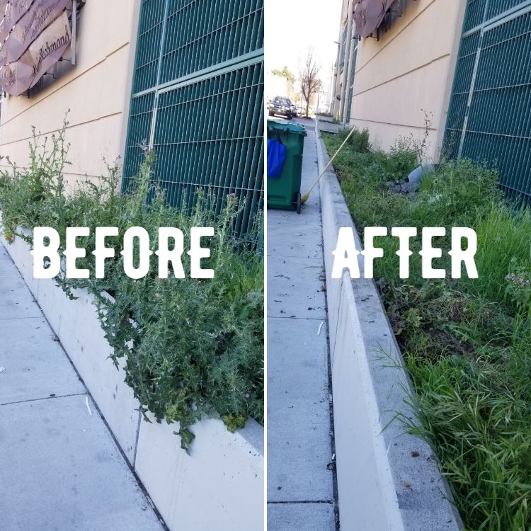 15thSt Planter 2.28.21 Before&After web