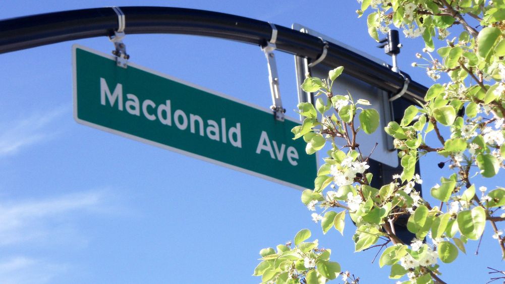 MacdonaldAve SpringBlossoms