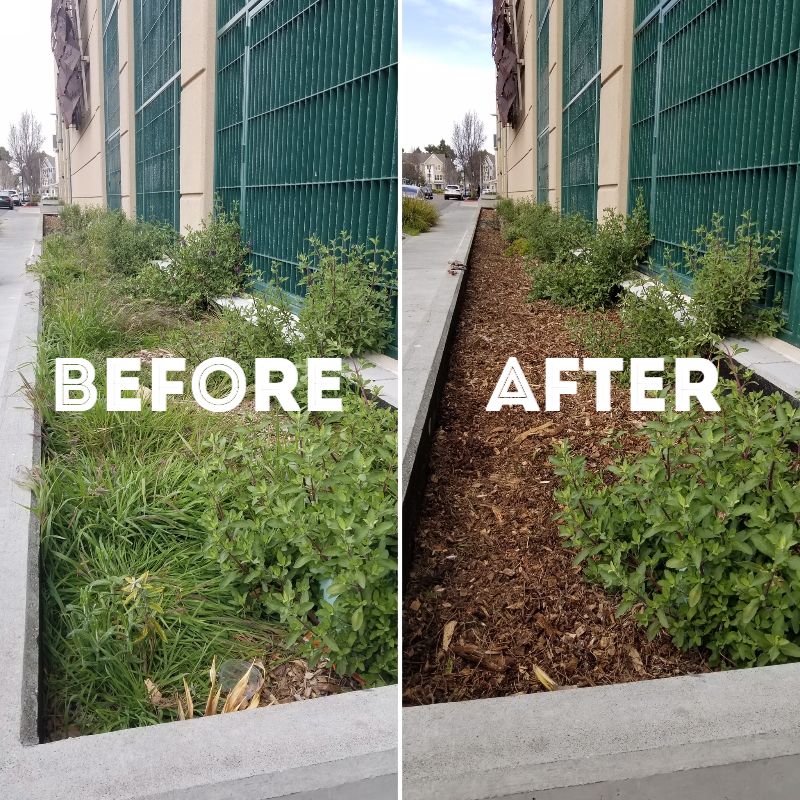 15th St Planter Before&After 3.17.2021 2